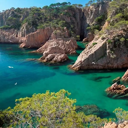 Piso Victoria Sant Feliu de Guíxols